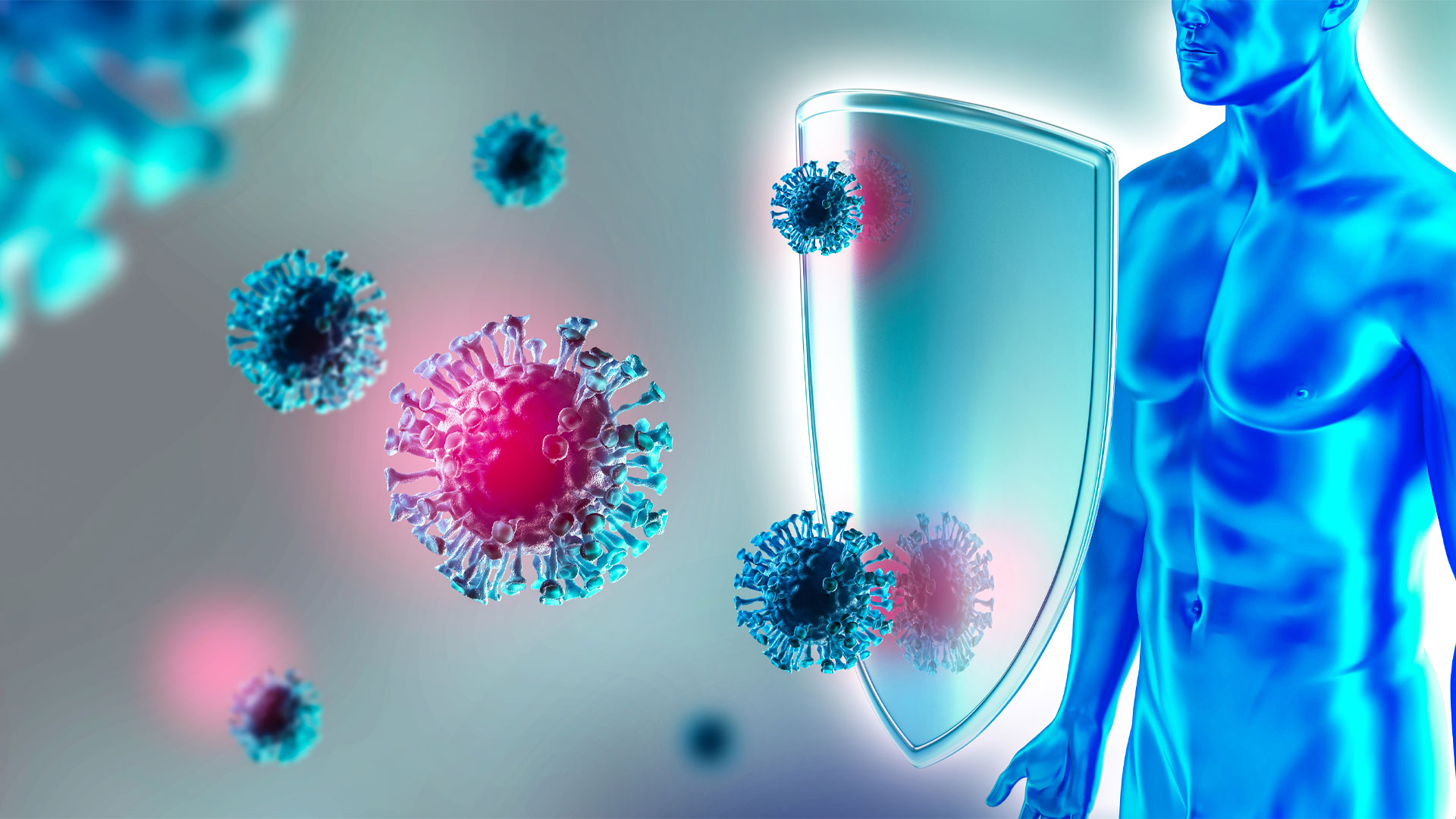 The Immune System: A Shallow Dive Into The Basics