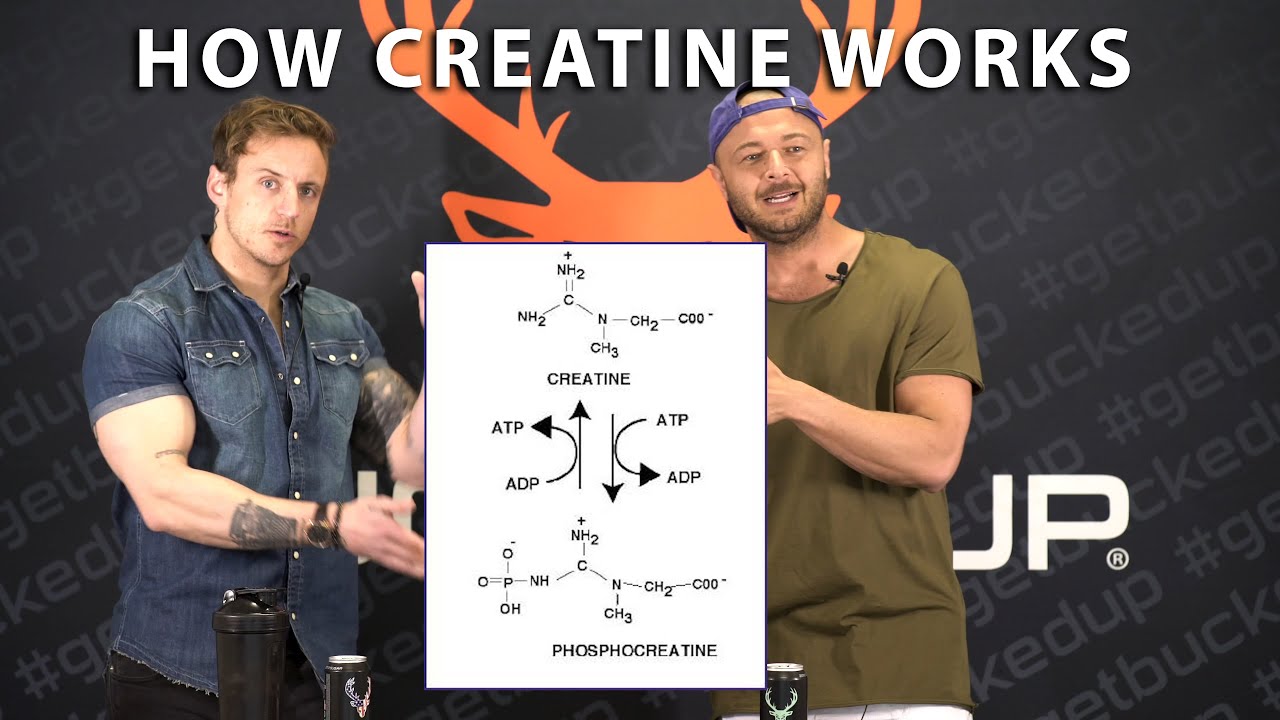 Creatine: One Supplement To Rule Them All (Strength, Size, and Smarts)
