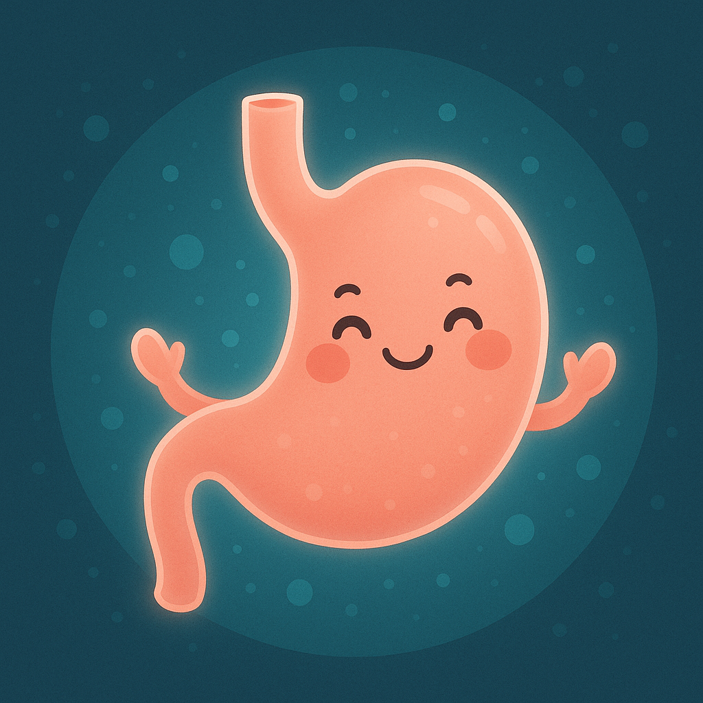 Cute cartoon-style illustration of a happy, smiling stomach character with rosy cheeks and arms raised, glowing softly against a teal-blue circular background with floating dots, symbolizing a healthy and balanced gut.”